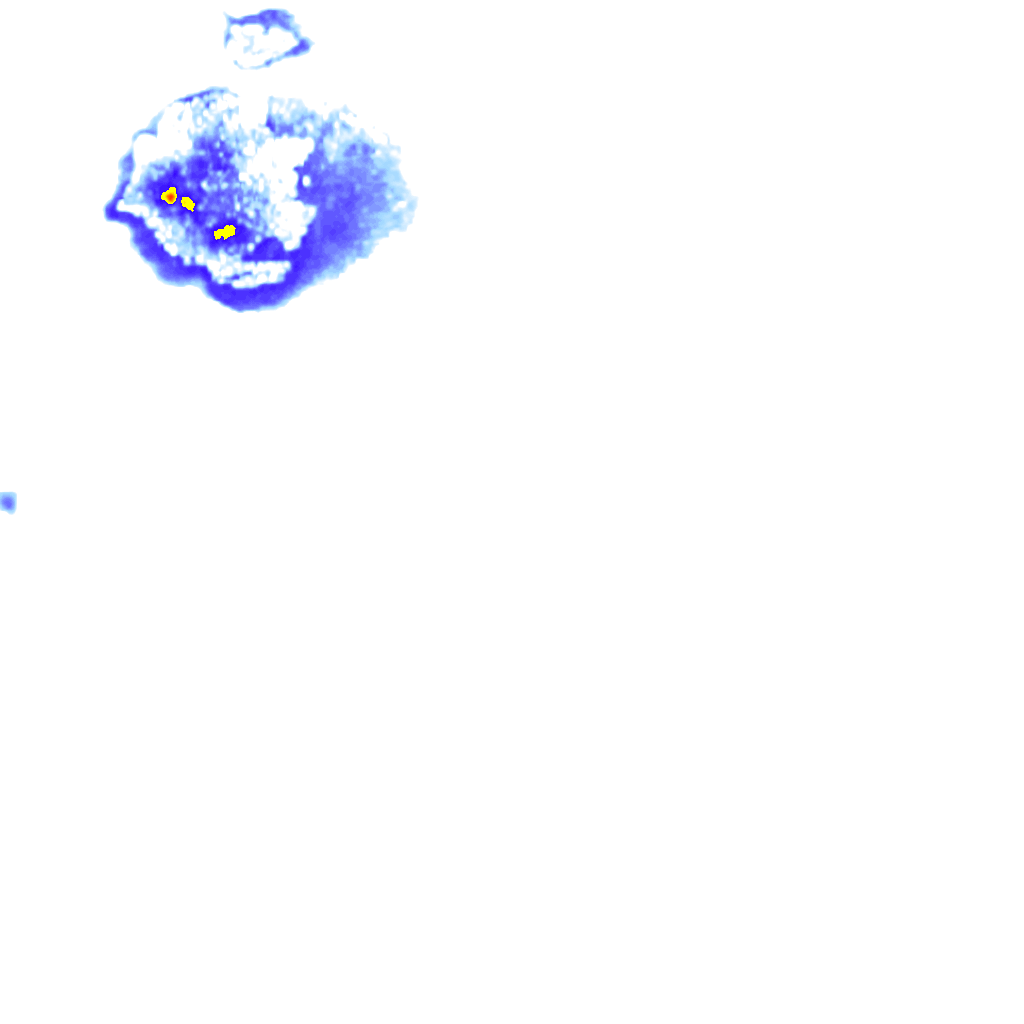 rainLayer