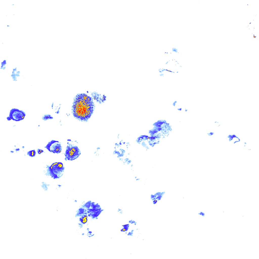 rainLayer
