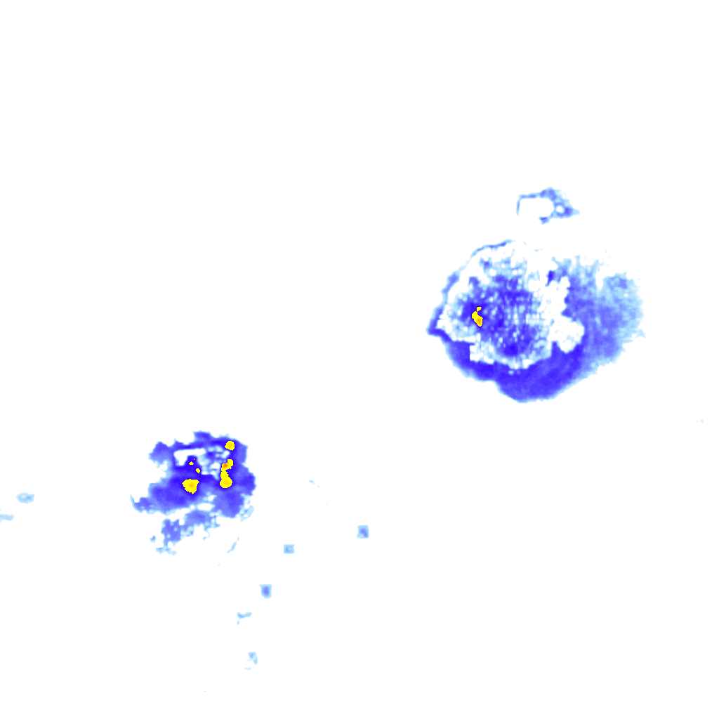 Image Layer