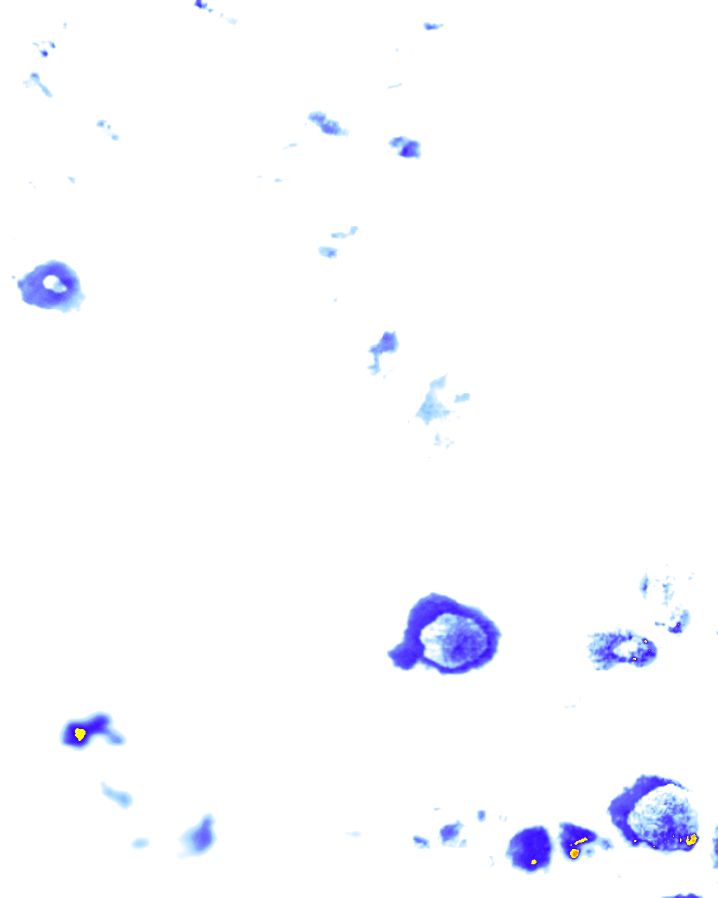 rainLayer