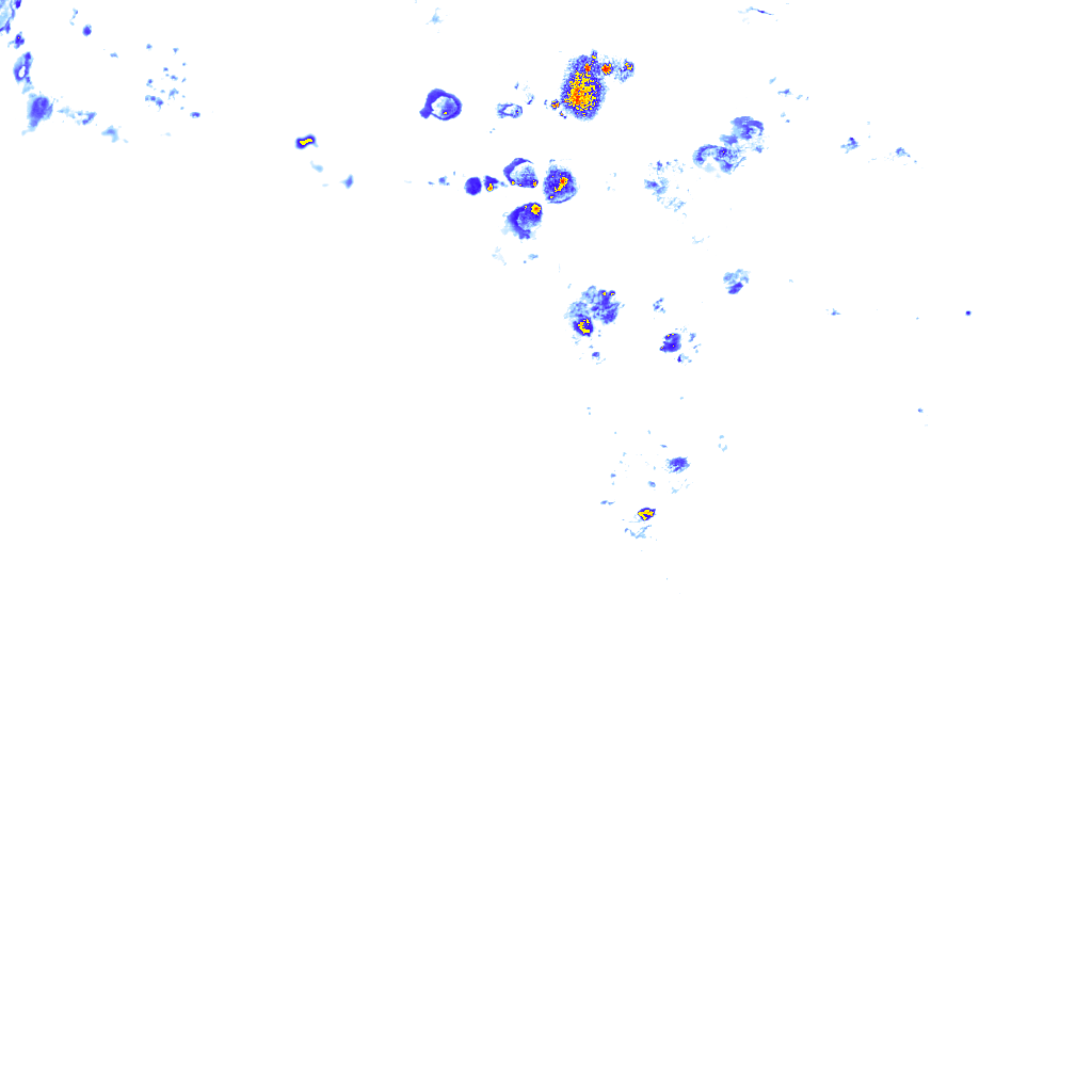 rainLayer