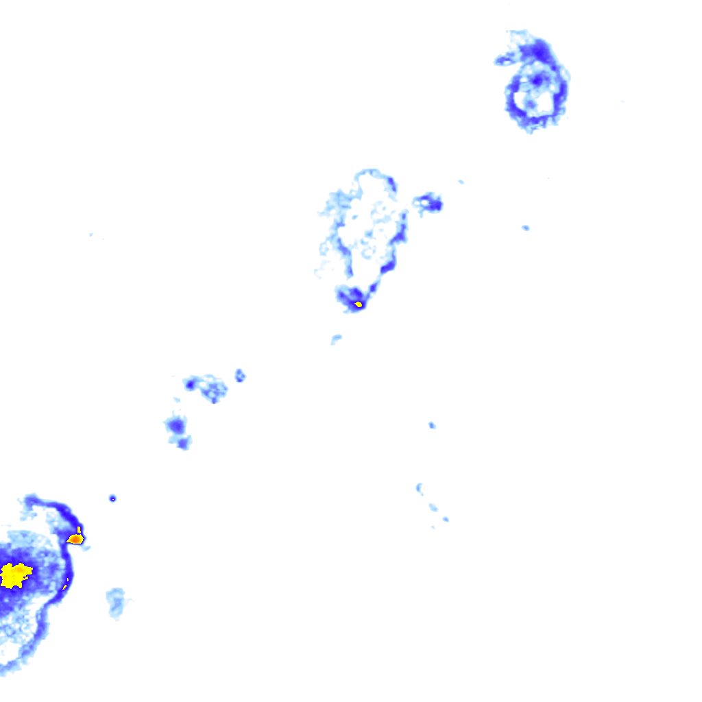 rainLayer