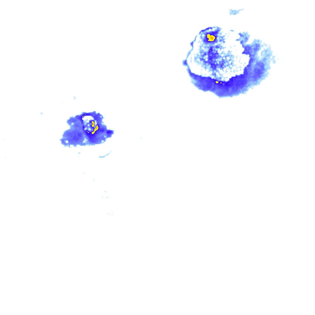 Image Layer