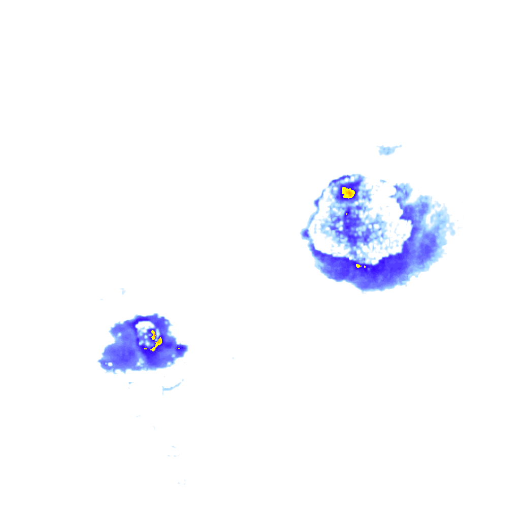 Image Layer