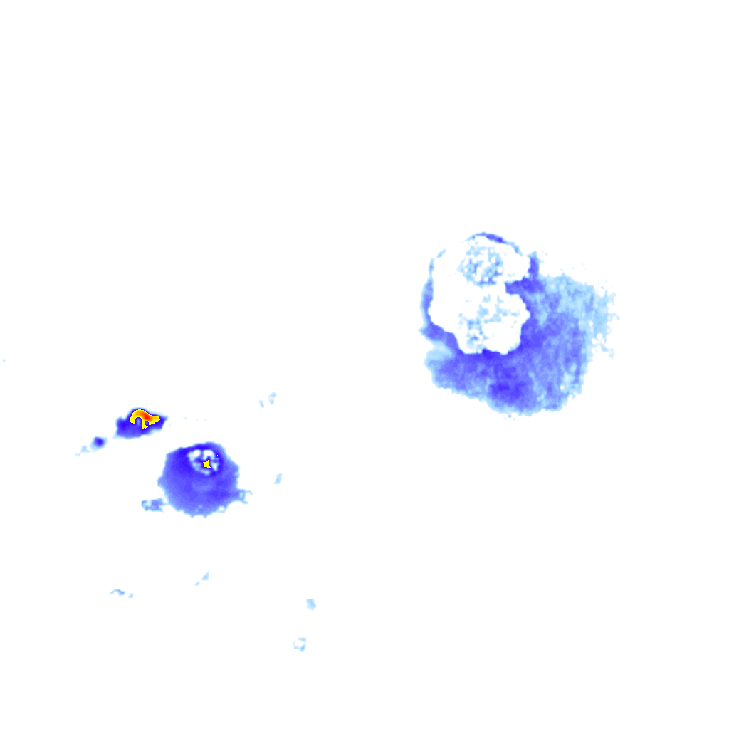 Image Layer