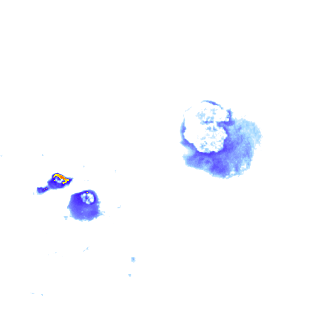 rainLayer