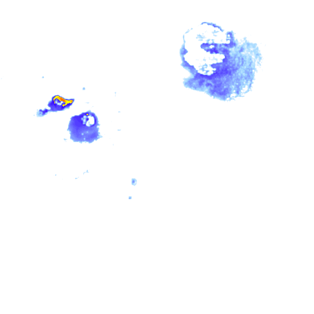 Image Layer