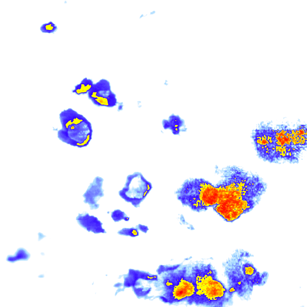 rainLayer