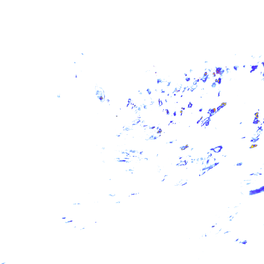 rainLayer