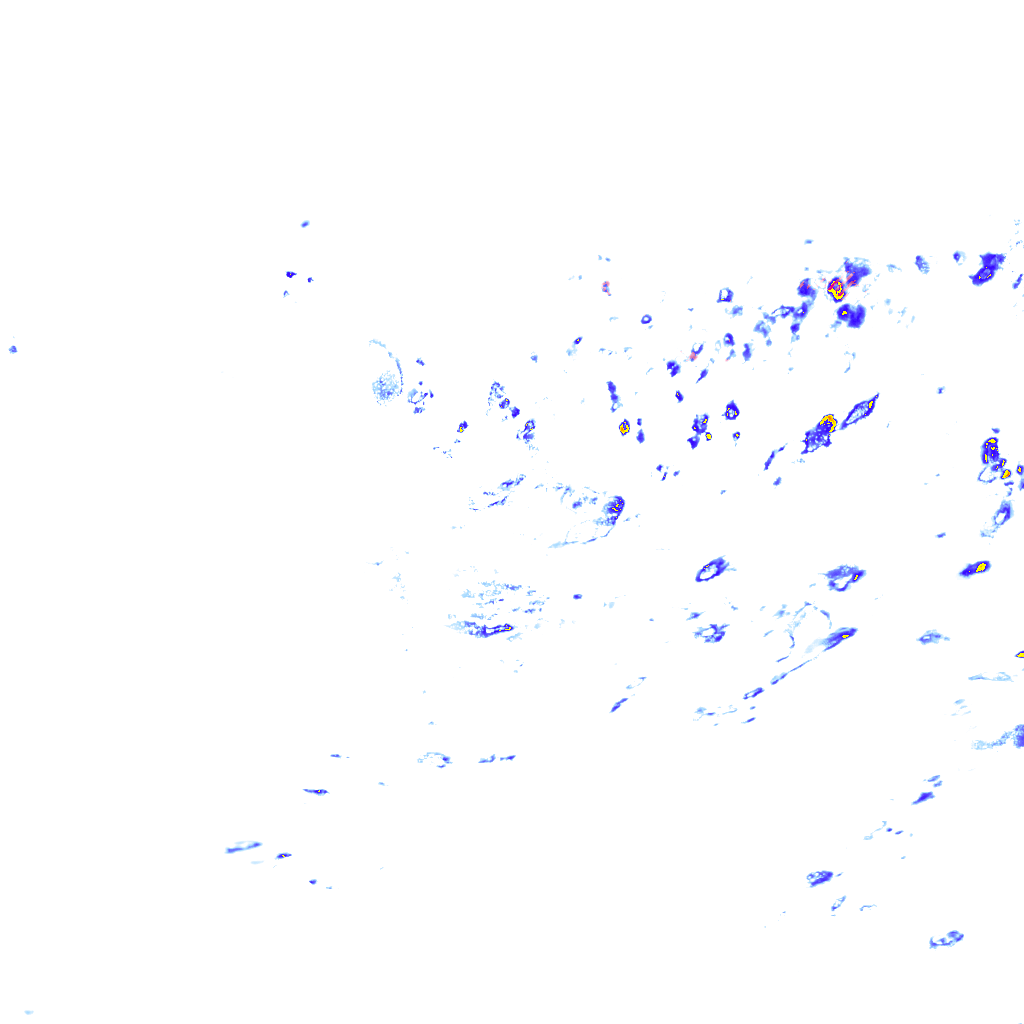 rainLayer