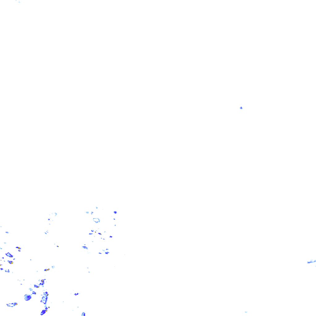 rainLayer