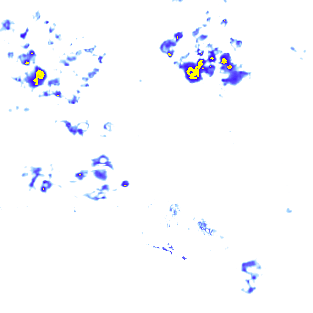 rainLayer