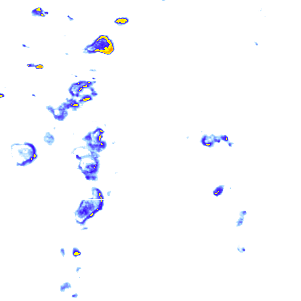 rainLayer