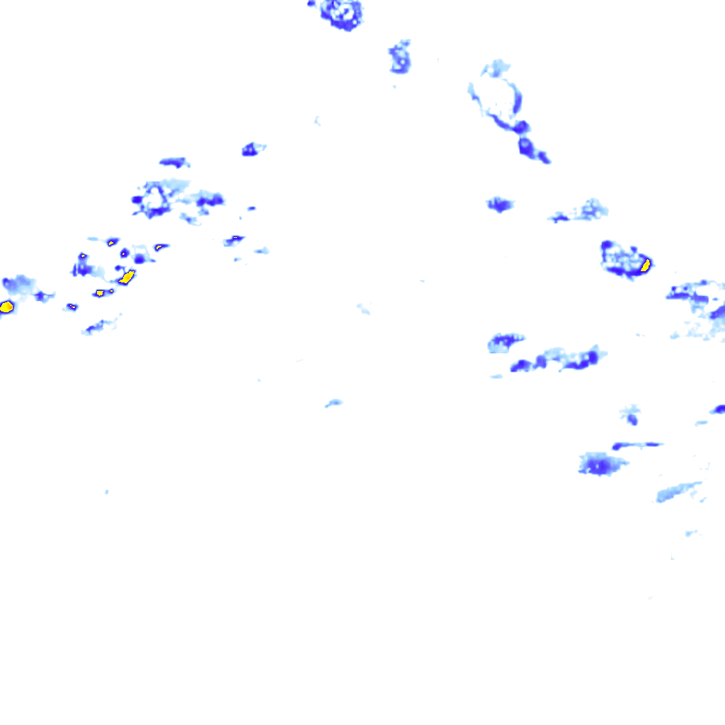 rainLayer