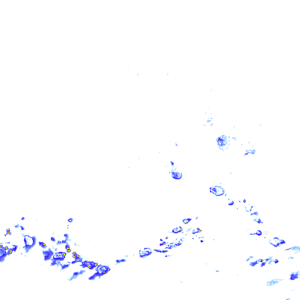rainLayer