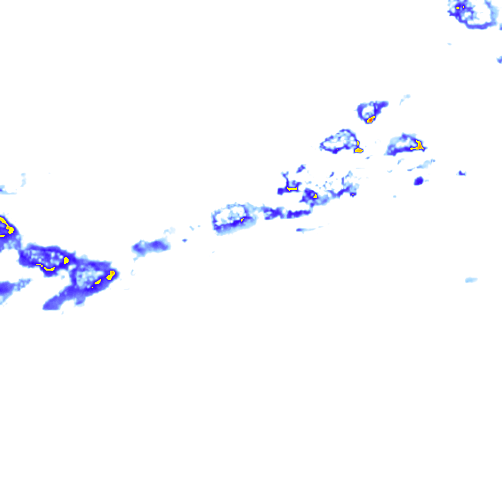 rainLayer