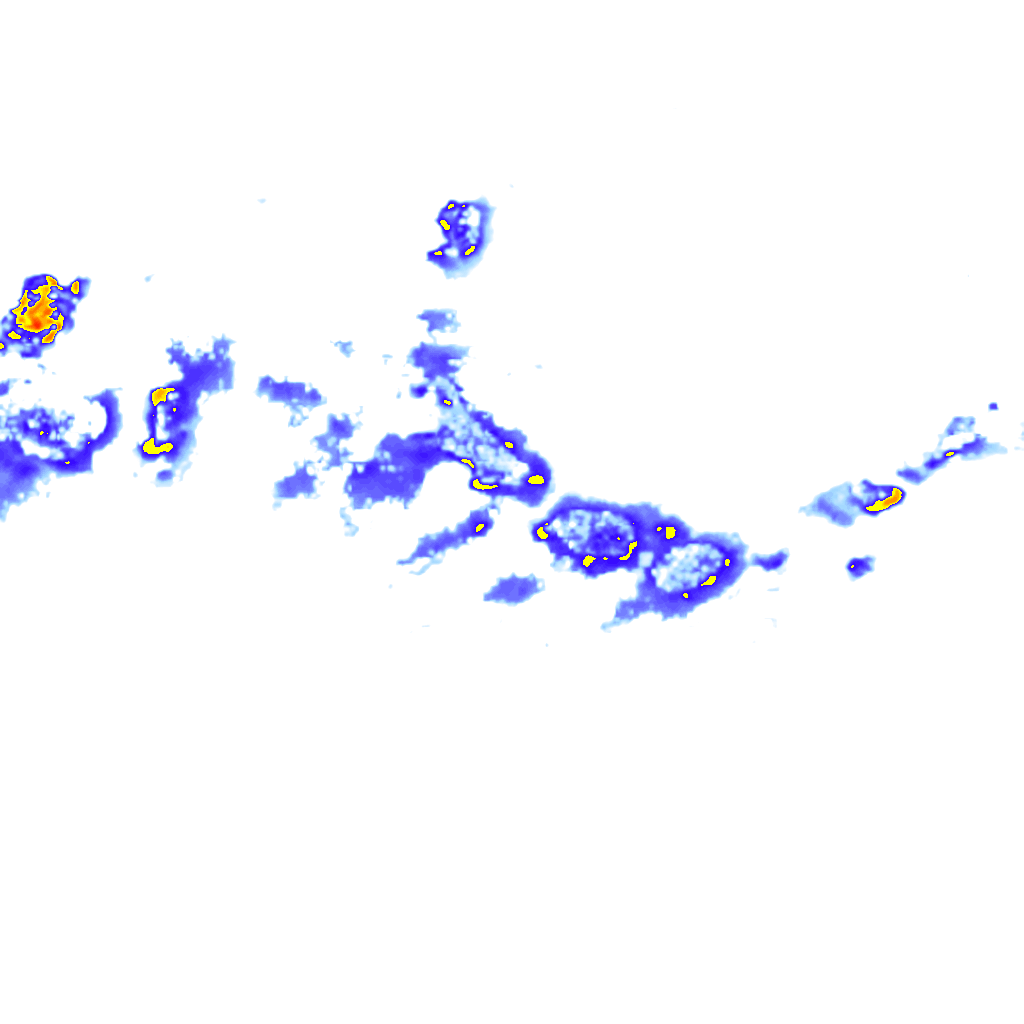 rainLayer