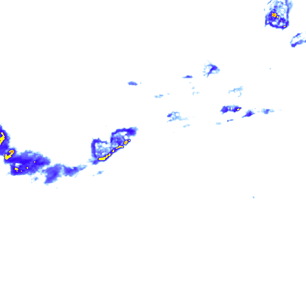 rainLayer