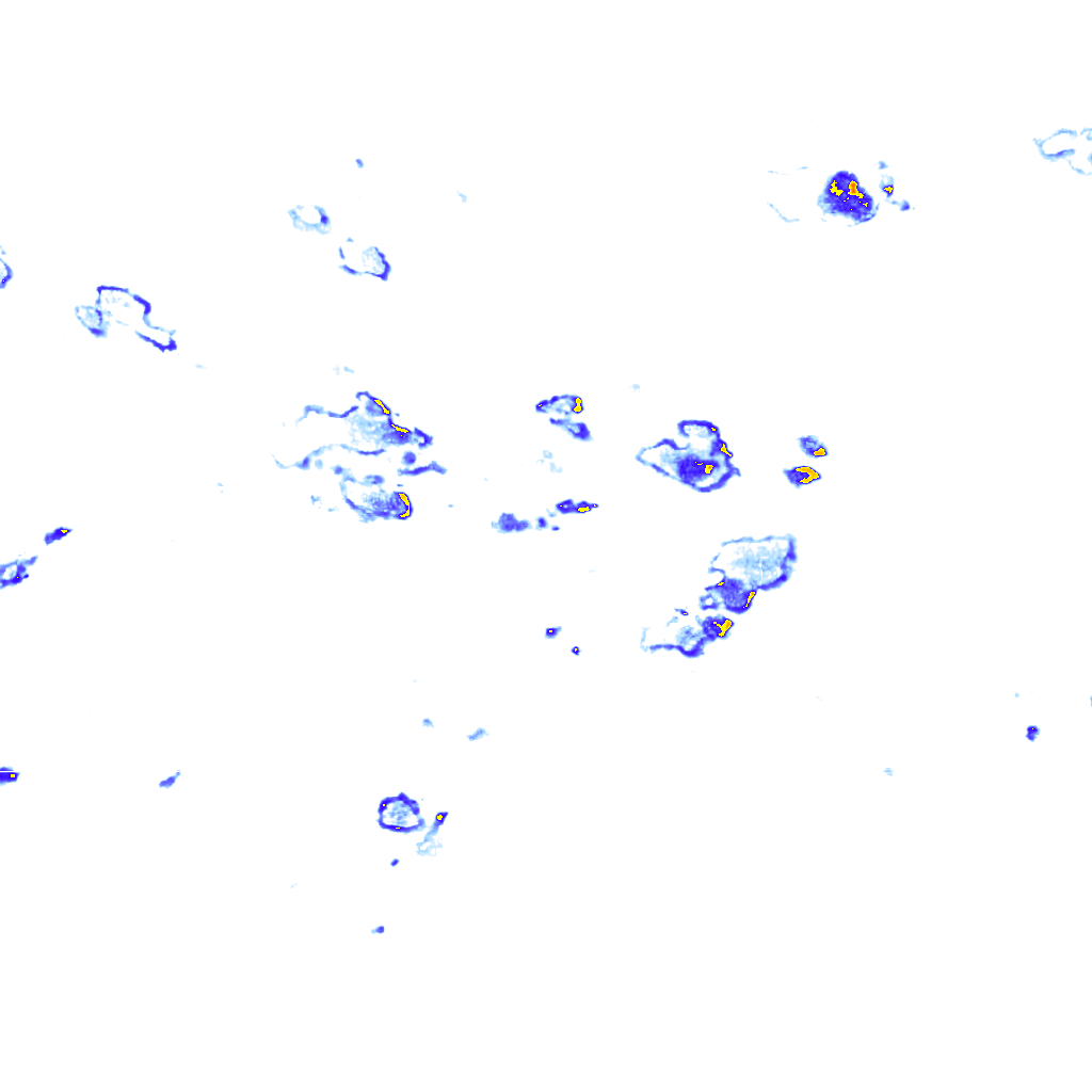 Image Layer