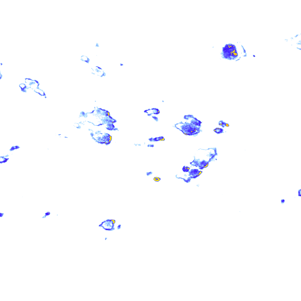 rainLayer