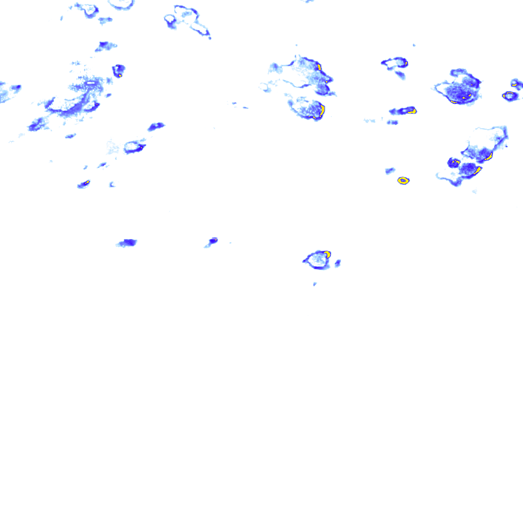 rainLayer