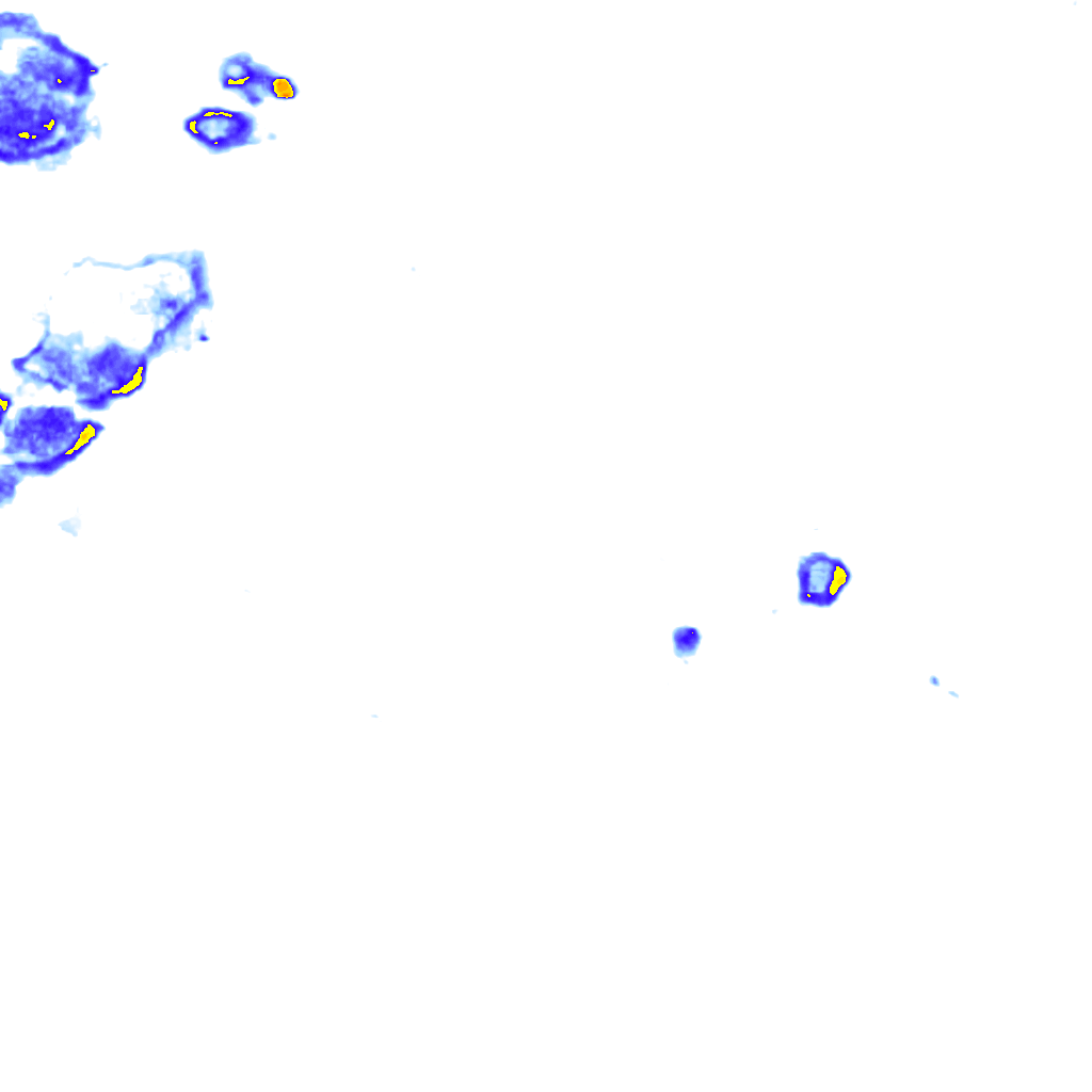 rainLayer