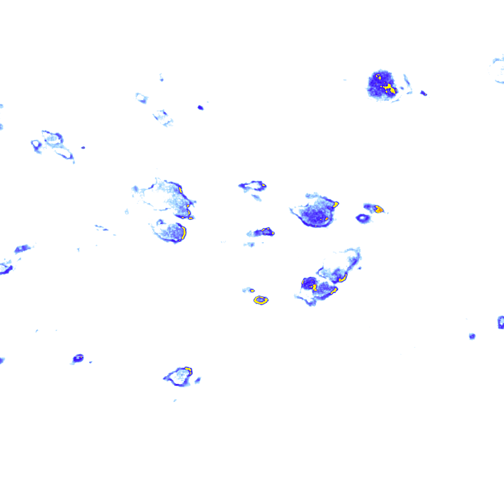 rainLayer