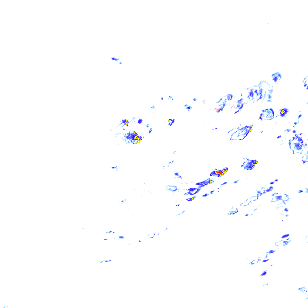 rainLayer