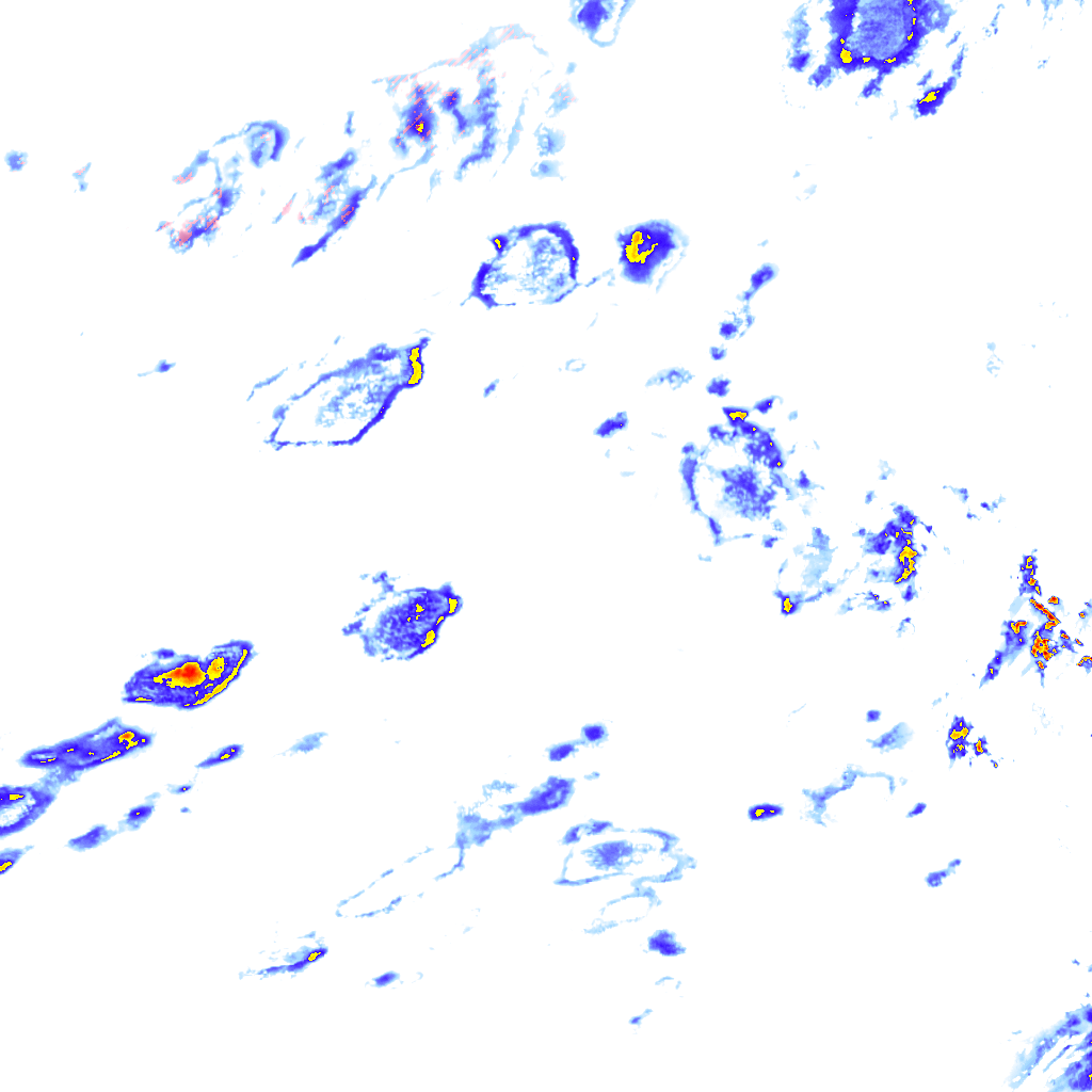 rainLayer