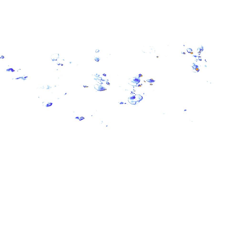 rainLayer