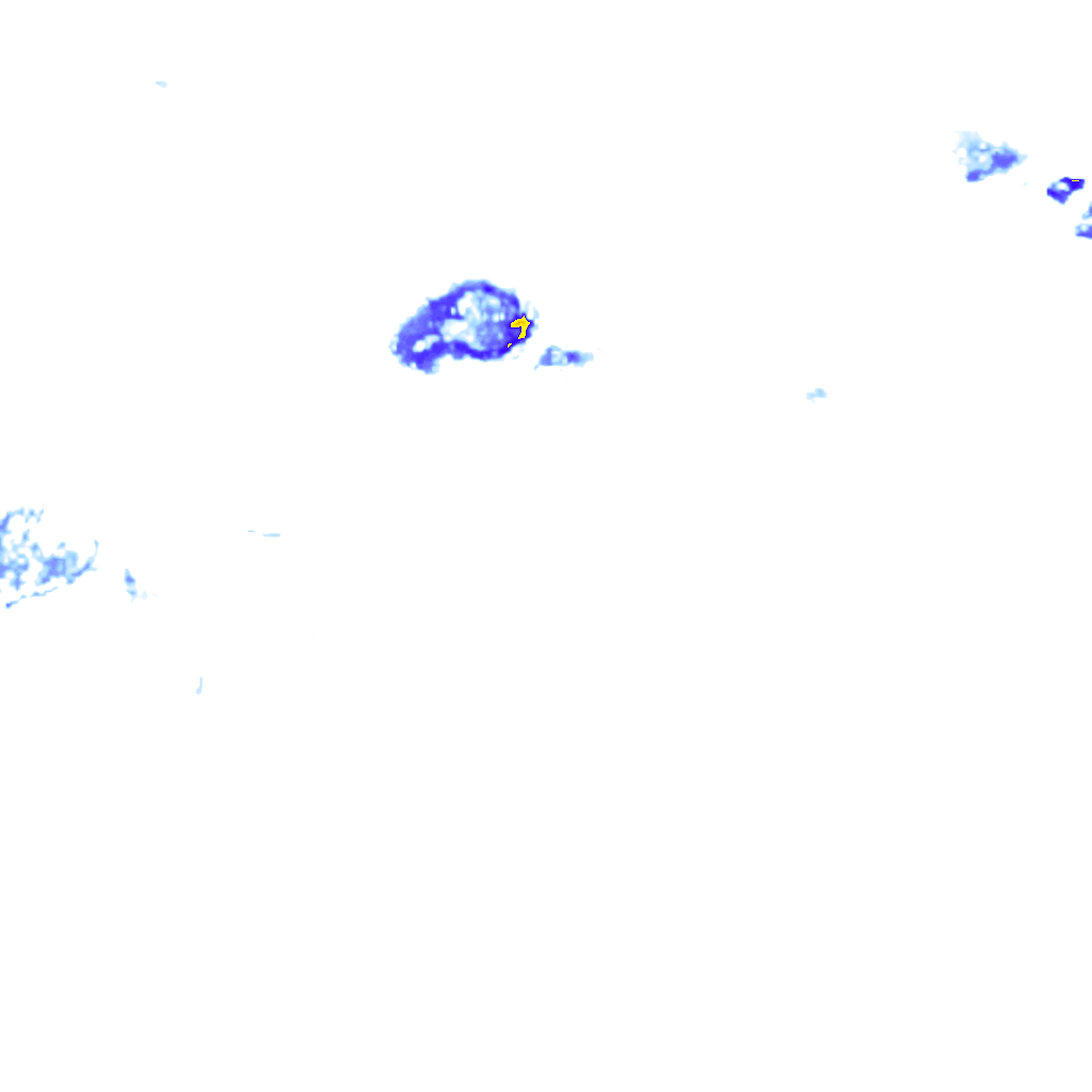 rainLayer