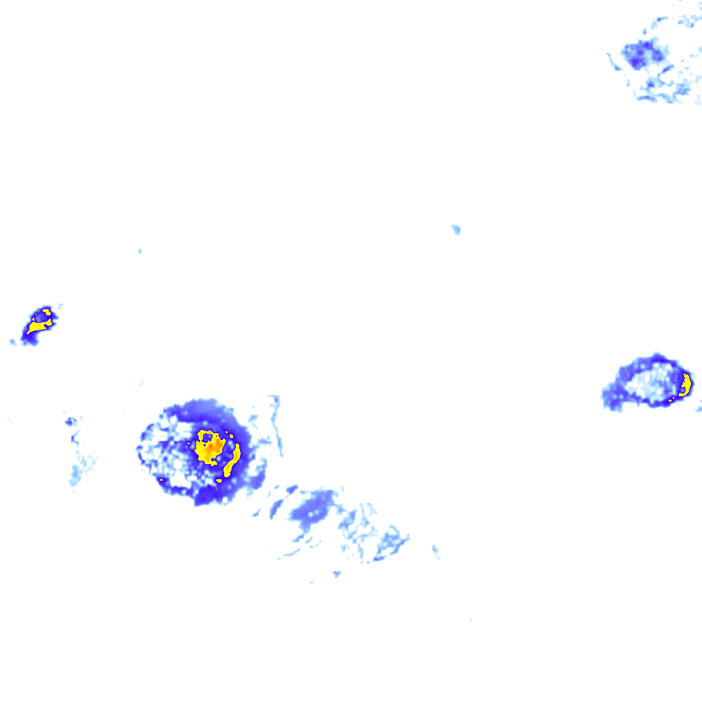rainLayer