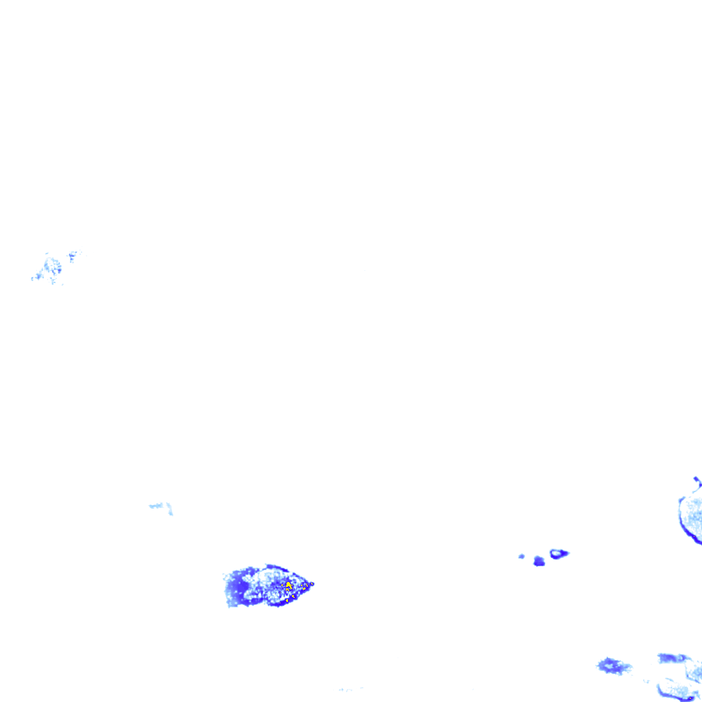rainLayer