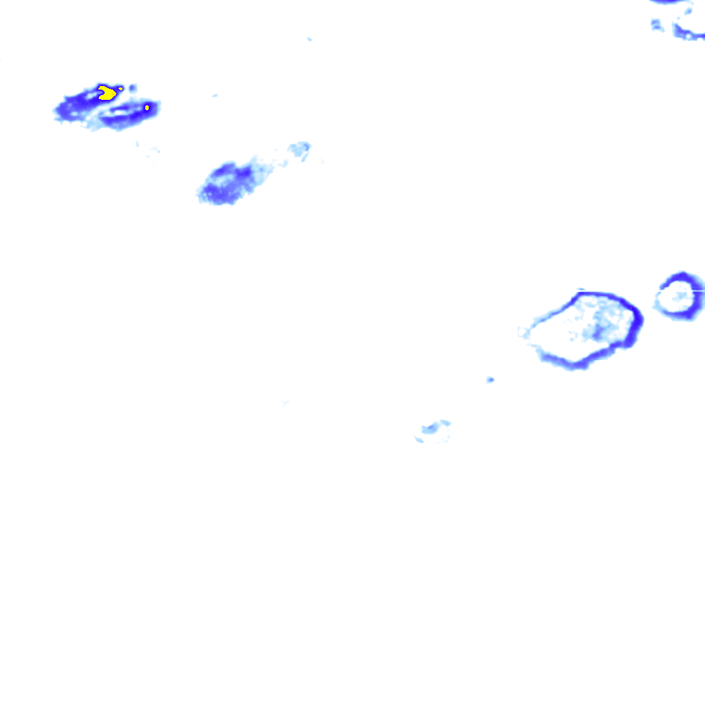 rainLayer