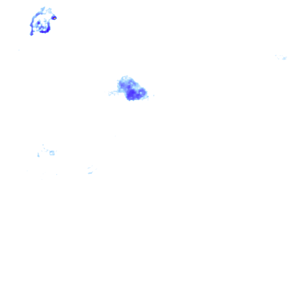rainLayer