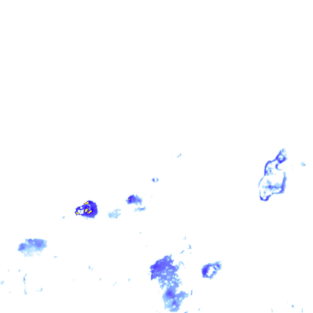 Image Layer