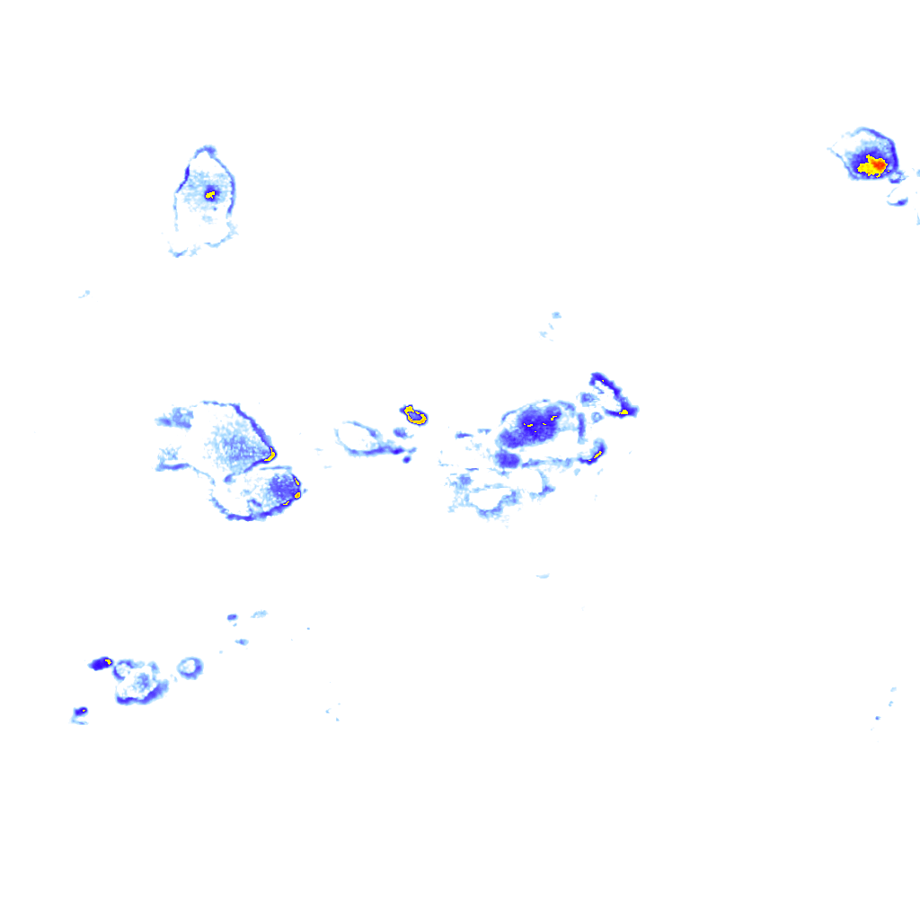 rainLayer