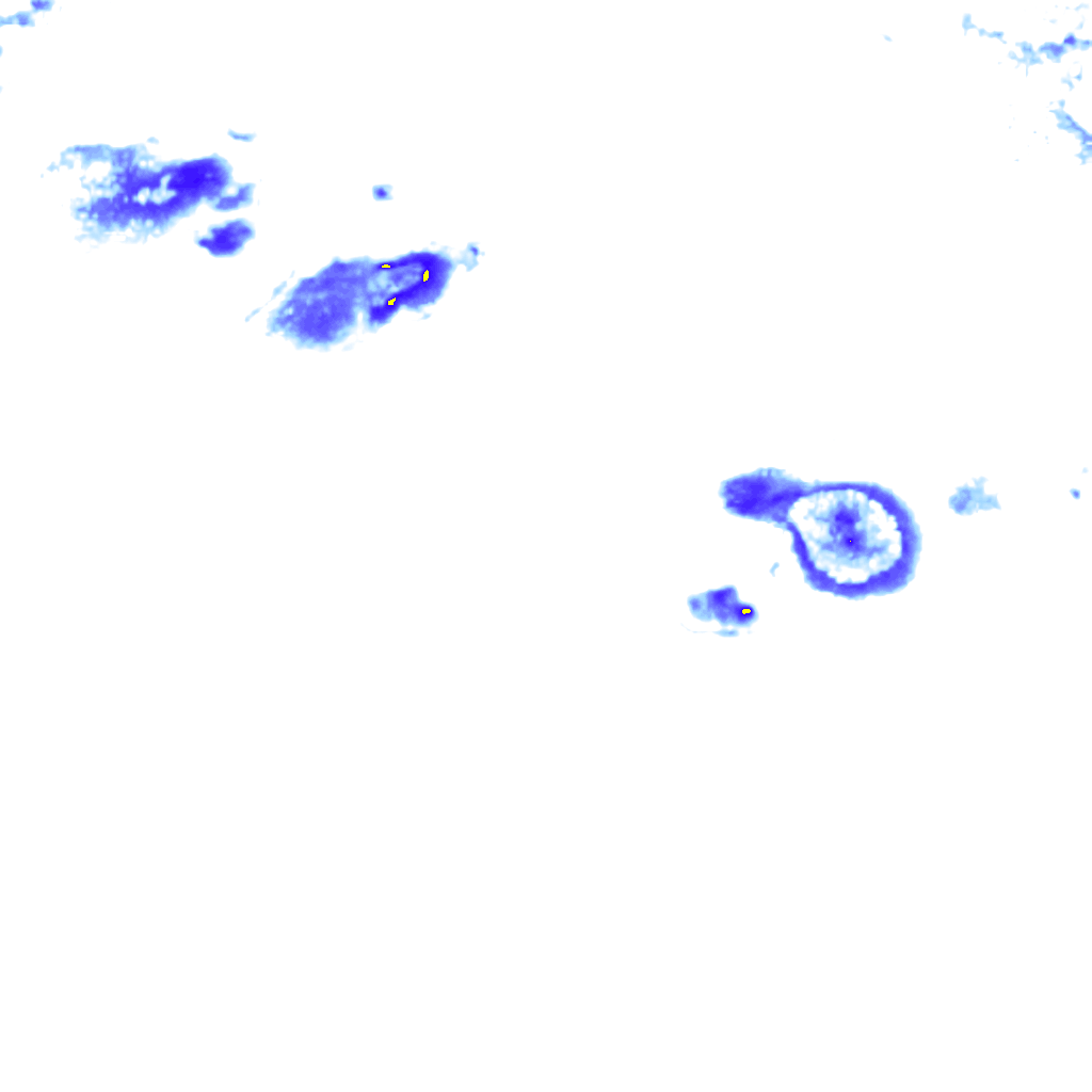 Image Layer