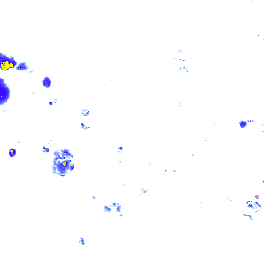 Image Layer