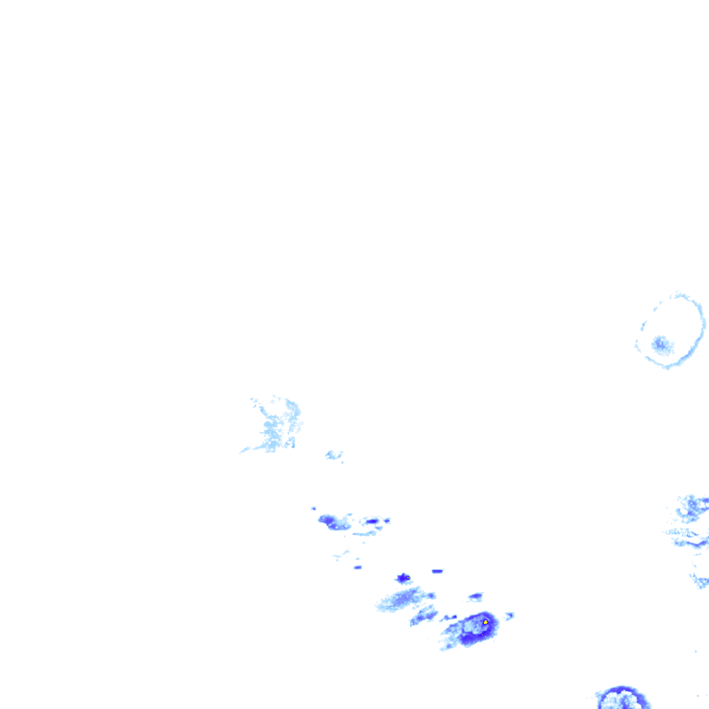 rainLayer