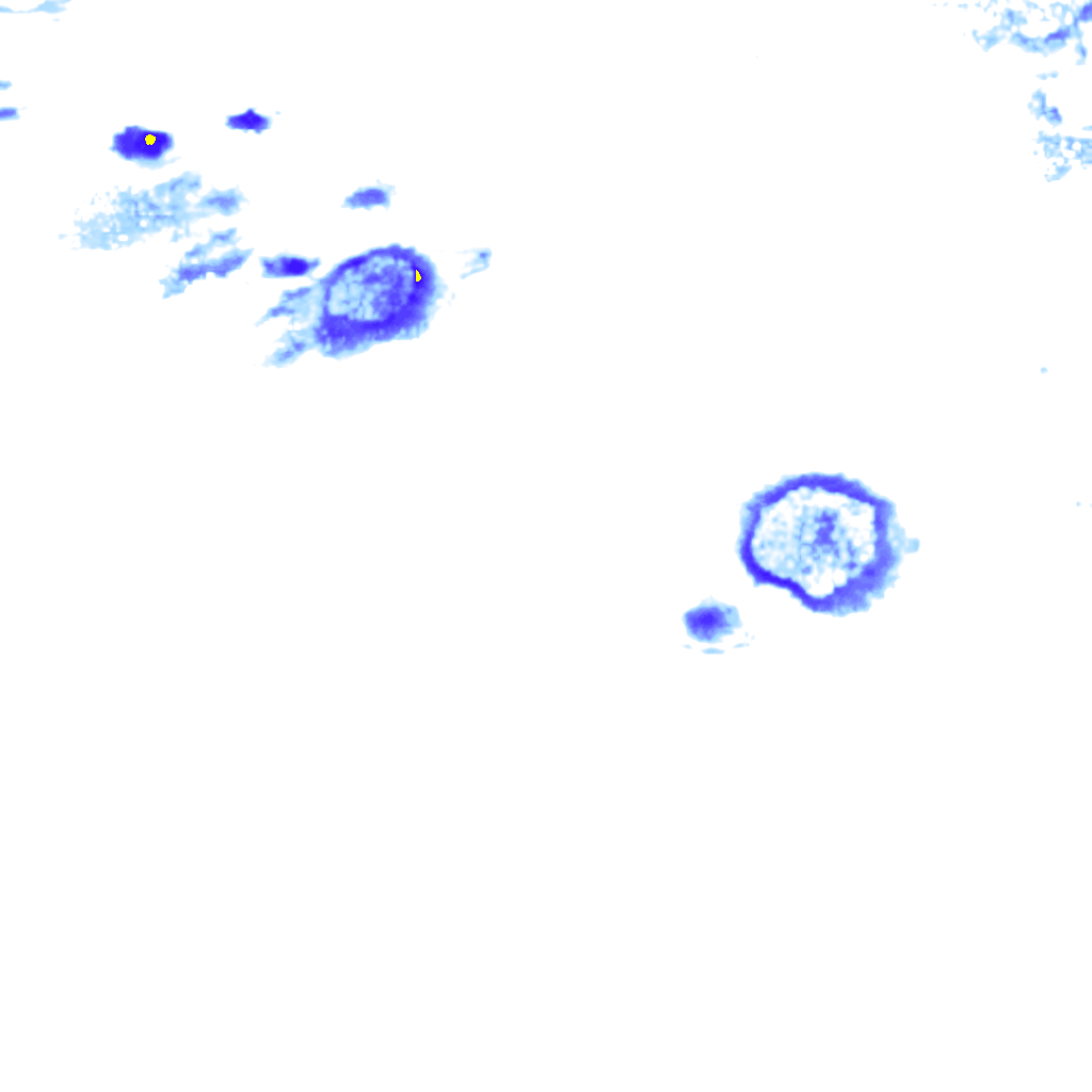 Image Layer