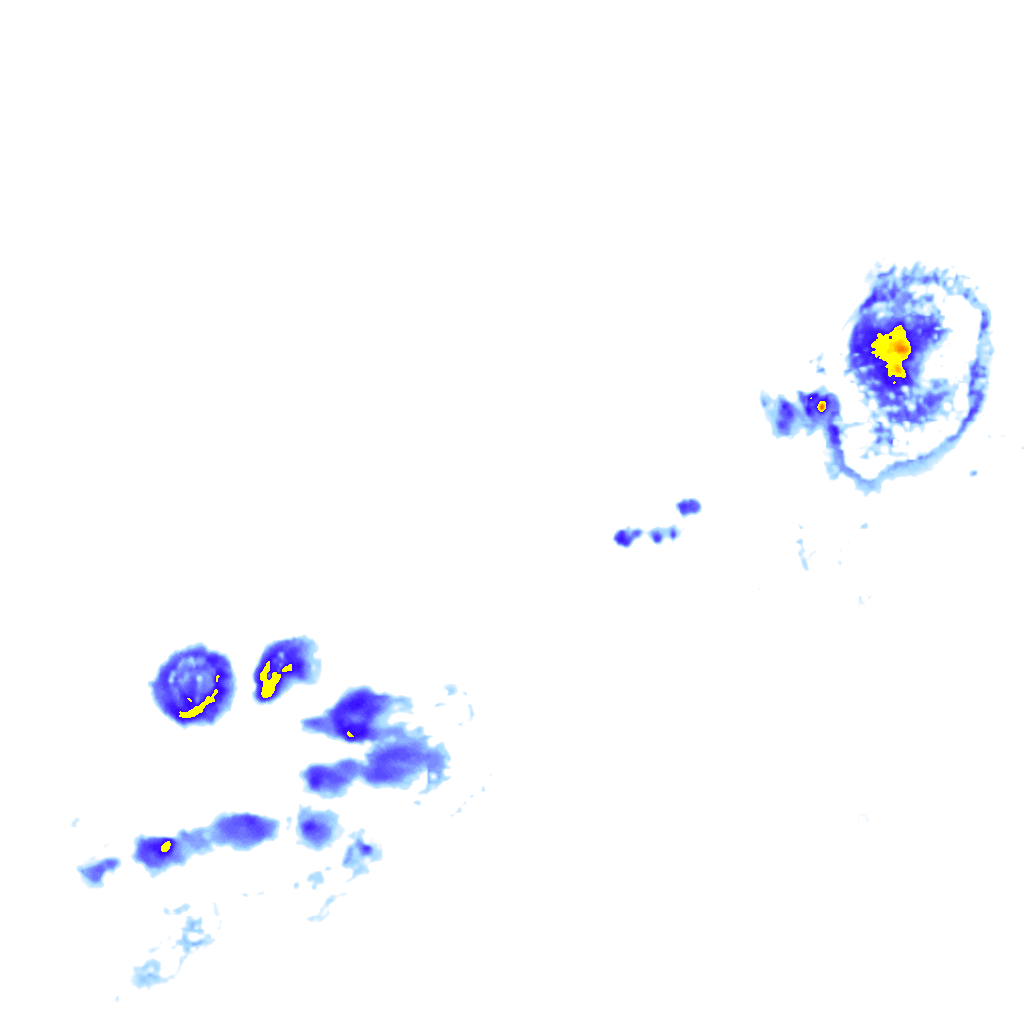 Image Layer