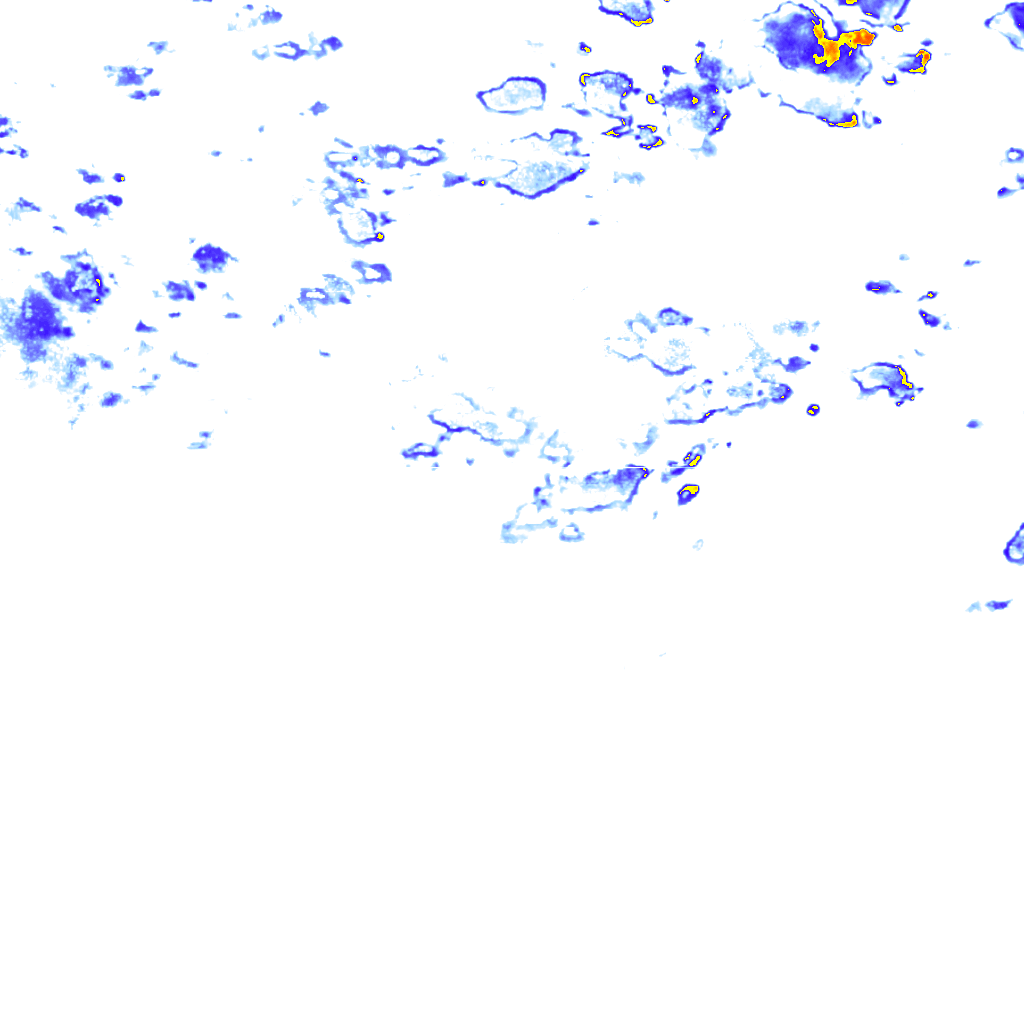 rainLayer