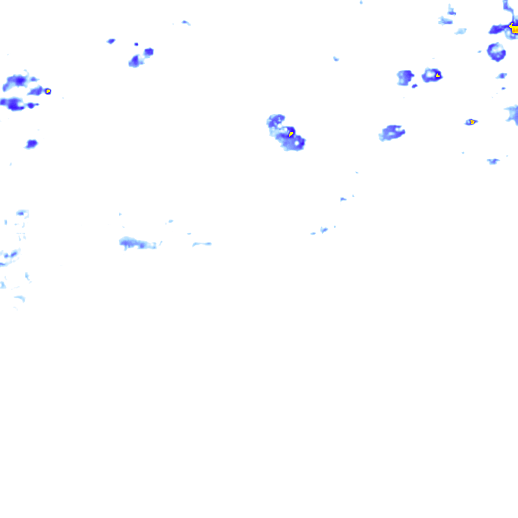 rainLayer