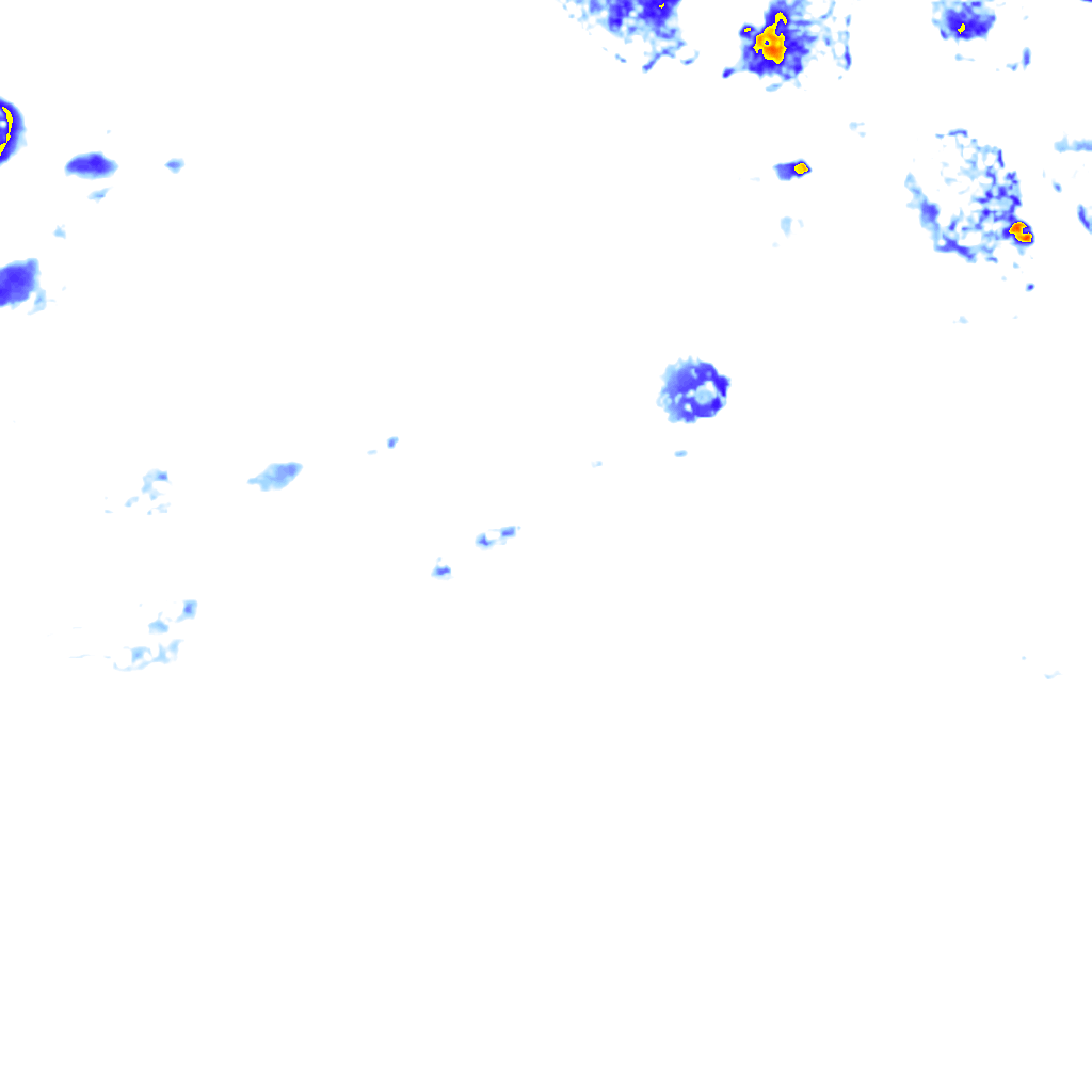 rainLayer
