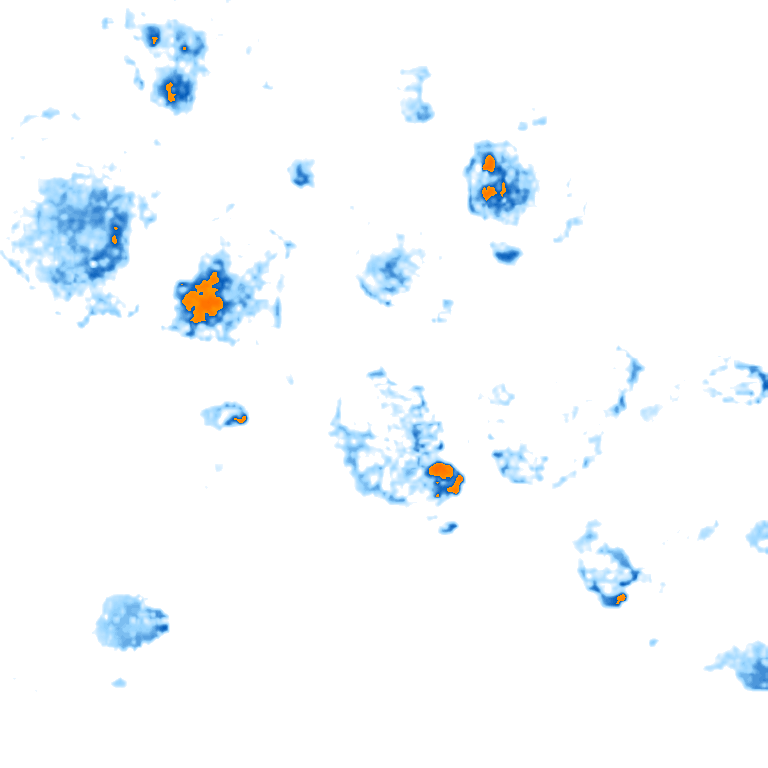 rain layer