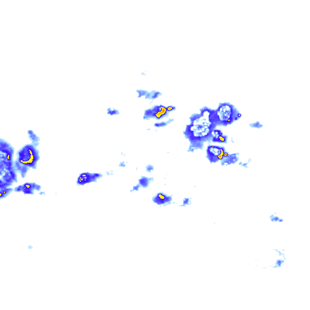 Image Layer