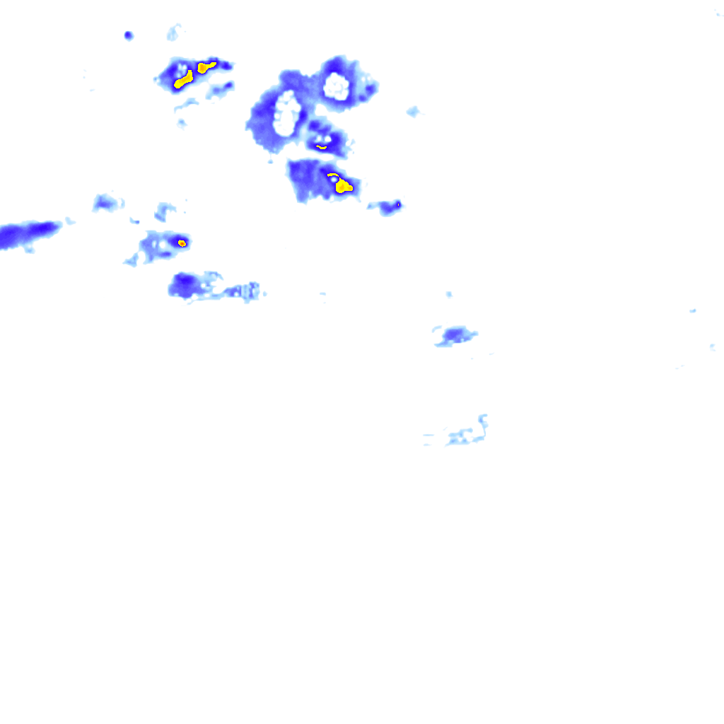 rainLayer