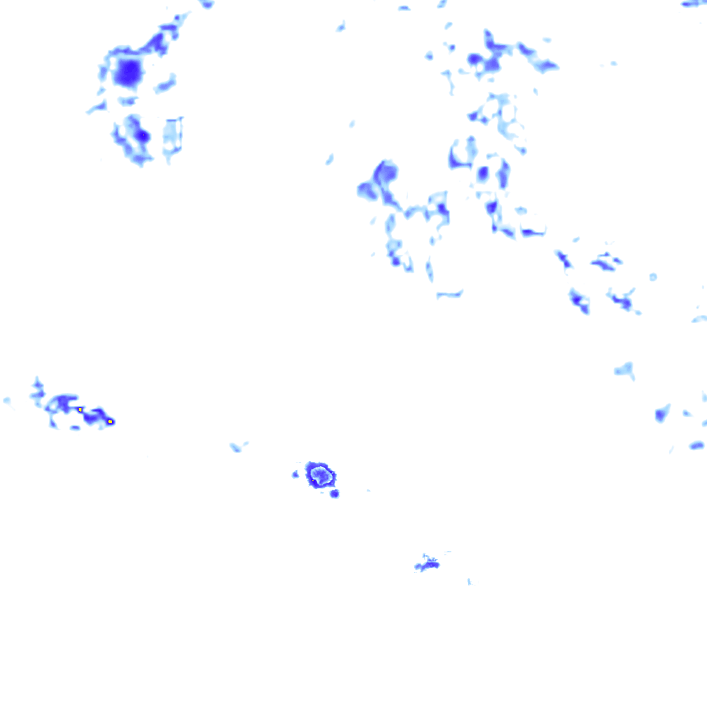 rainLayer
