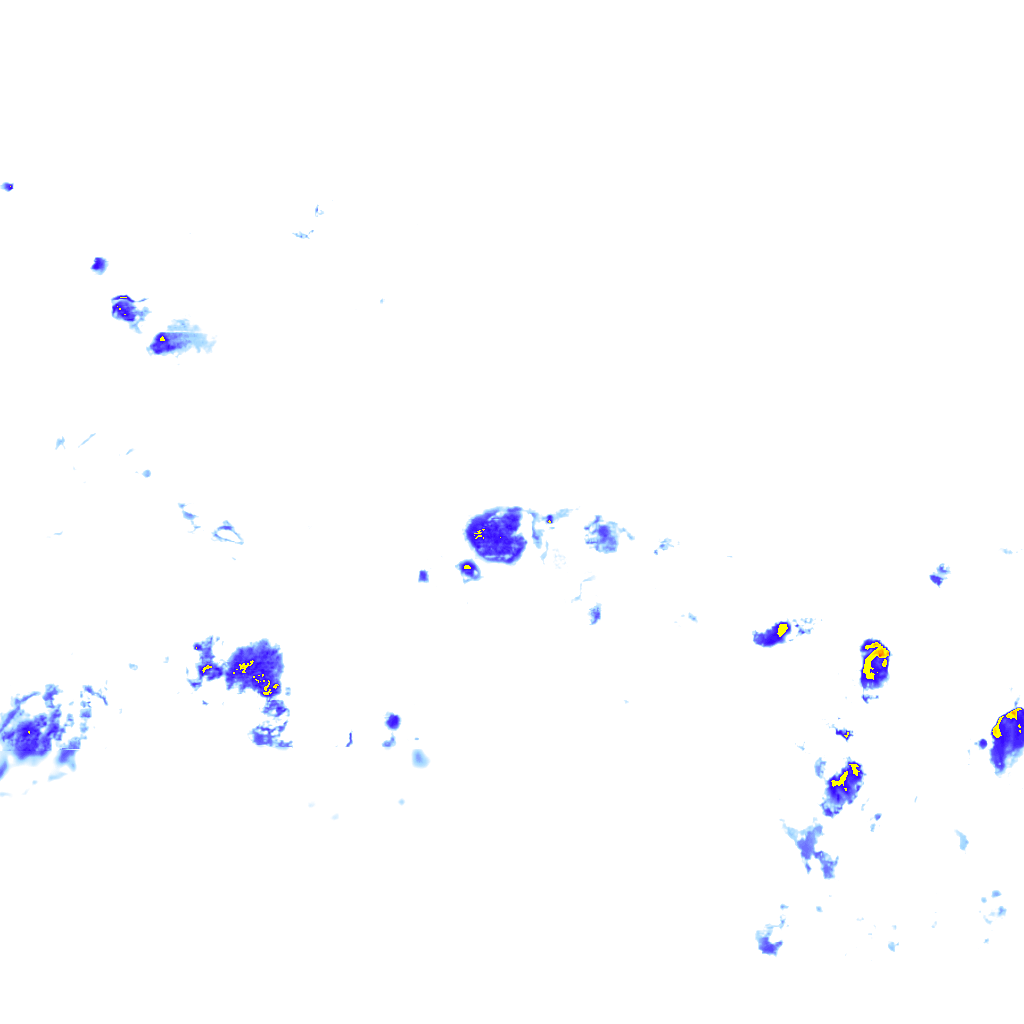 rainLayer